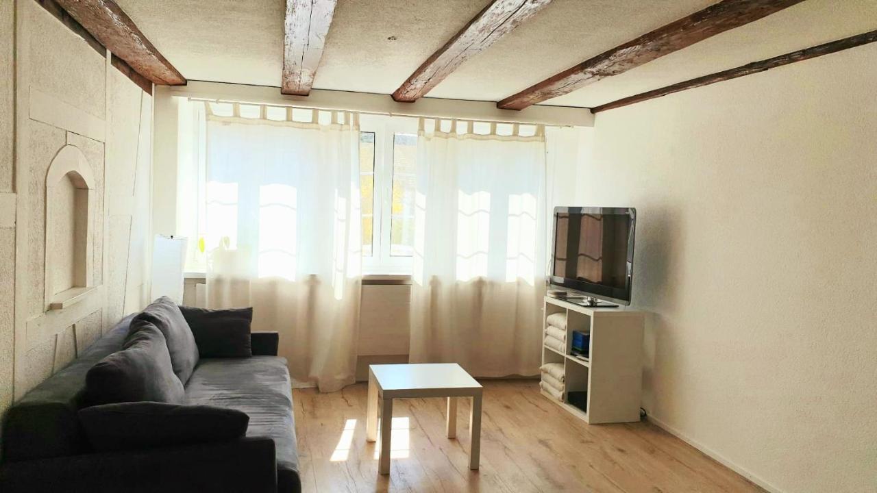 Cozy Apartment Close To Zurich Airport And City Oberglatt Exteriör bild