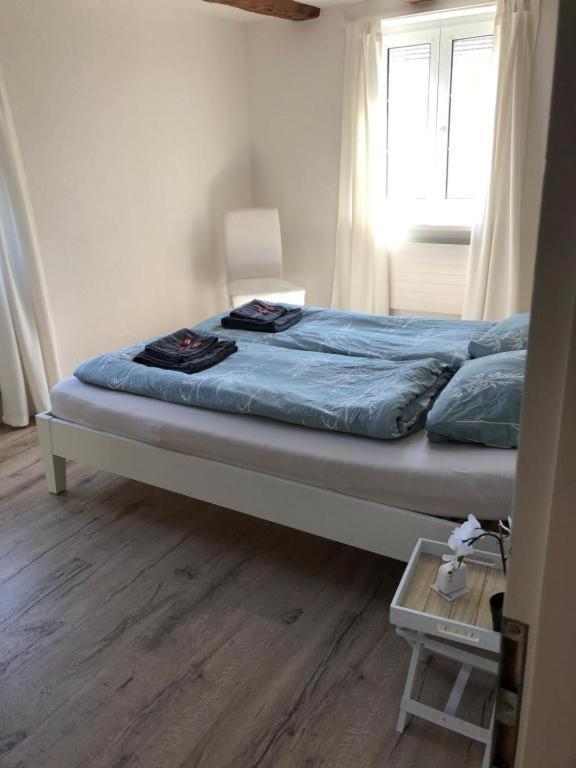 Cozy Apartment Close To Zurich Airport And City Oberglatt Exteriör bild