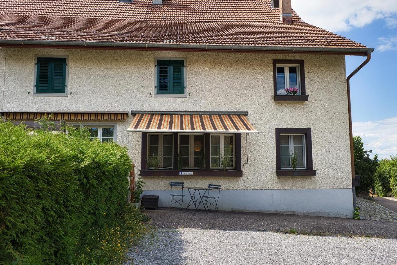 Cozy Apartment Close To Zurich Airport And City Oberglatt Exteriör bild